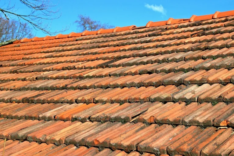 7 Signs Your Roof Needs Immediate Repair in North Lauderdale